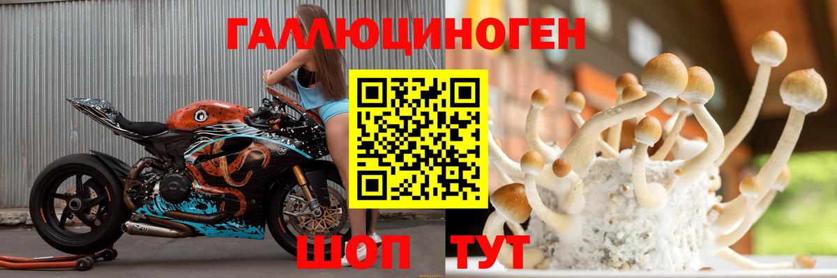 Вичуга  Галлюциногенные грибы Cubensis  Псилоцибиновые грибы мухоморы  Вход с VPN 