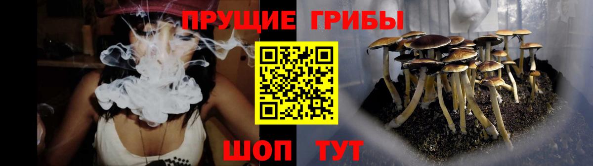 Псилоцибиновые грибы Magic Shrooms Вичуга