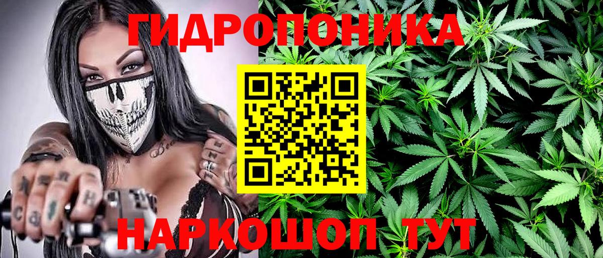 Бошки марихуана Ganja  Вход с VPN  МАРИХУАНА конопля  Каннабис конопля  Вичуга  Каннабис гибрид 